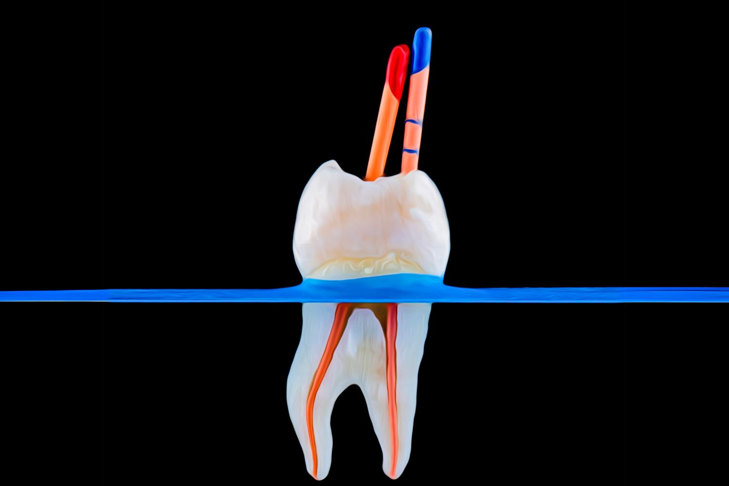 Endodontia